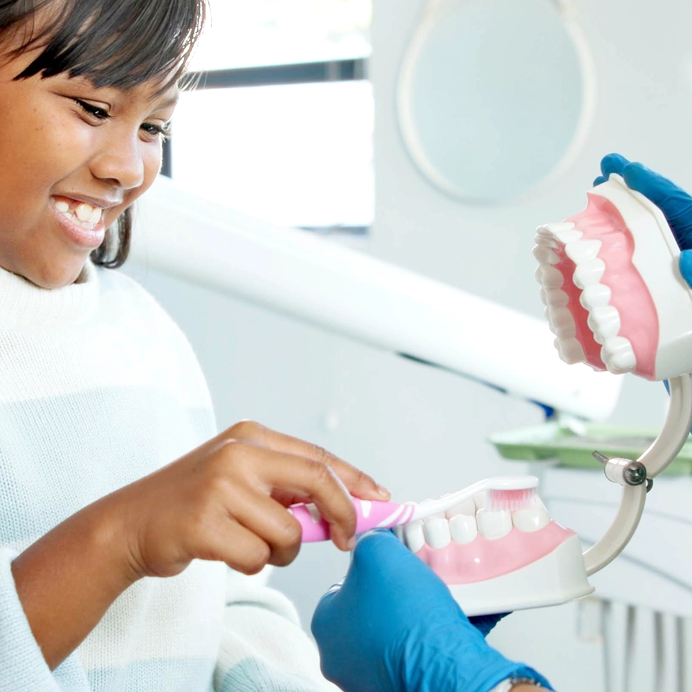 A young girl learns proper brushing techniques using a pink toothbrush on a dental model. The model displays a full set of teeth, and the girl shows enthusiasm, demonstrating a focus on pediatric dental education.