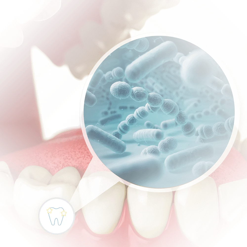 3d rendering of lower teeth and zoomed bubble of bacteria showing a mouth in need of dental cleaning