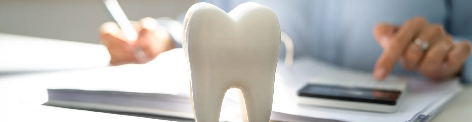 large model tooth in front of person doing paperwork