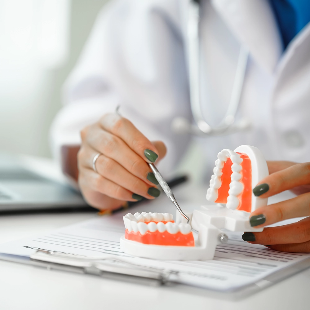 Close-up of a female dentist's hands adjusting a dental model to demonstrate proper tooth alignment. The dentist has green nail polish and is wearing a white lab coat, indicating a professional setting.