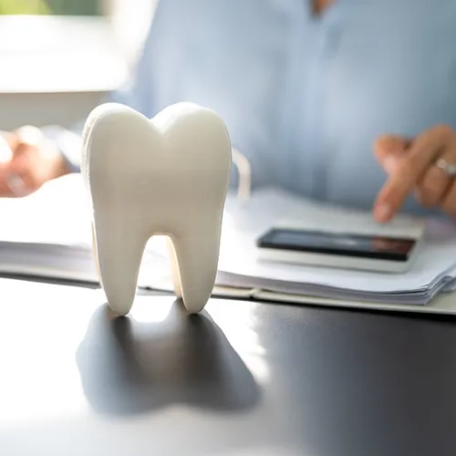 large model tooth in front of person doing paperwork